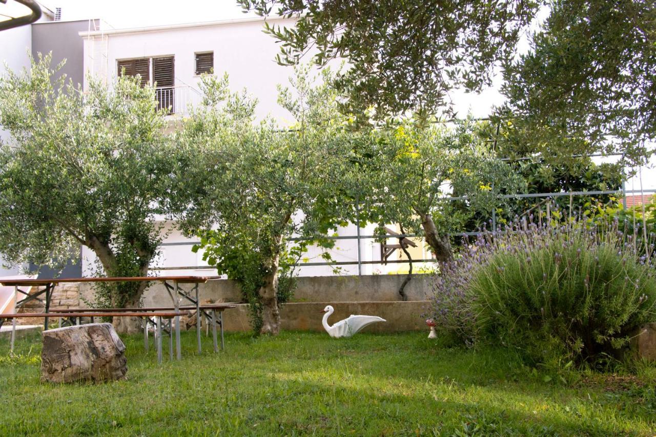 Pepi 2 Zadar